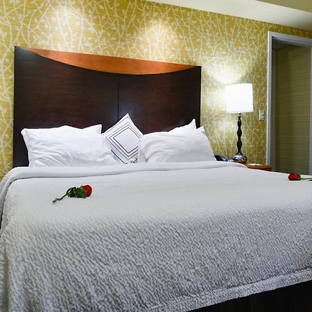 Fairfield Inn Hartford Airport Windsor Locks Luaran gambar